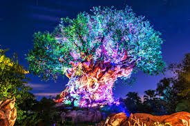 Animal Kingdom